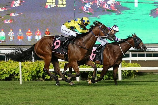 Second-up run crucial for Mr Malek