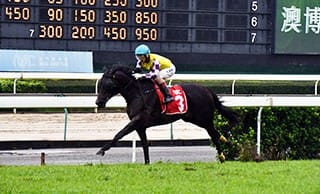 Sacred Capital Defends Macau Gold Cup Crown