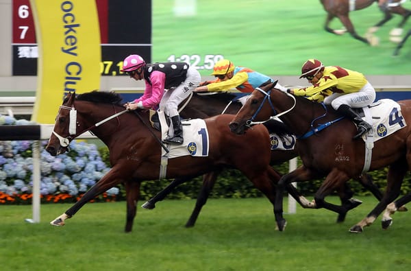 Hayes camp pleased with Beauty Generation ahead of return