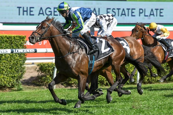 Sargent says Brandenburg can bounce back