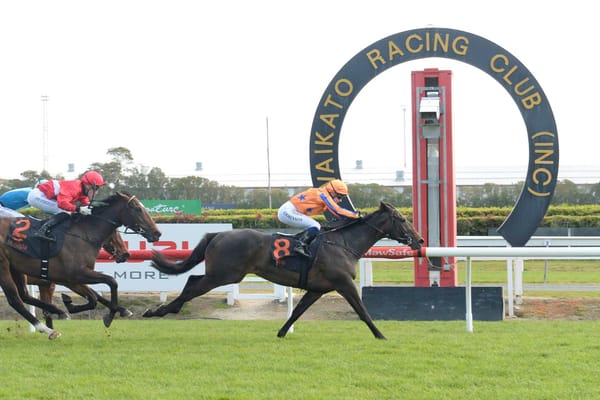 Fashionable maiden win by Savabeel filly