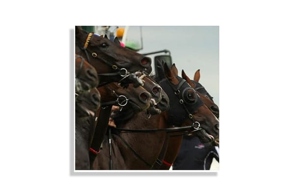 AUDIO: Richard Fenwick