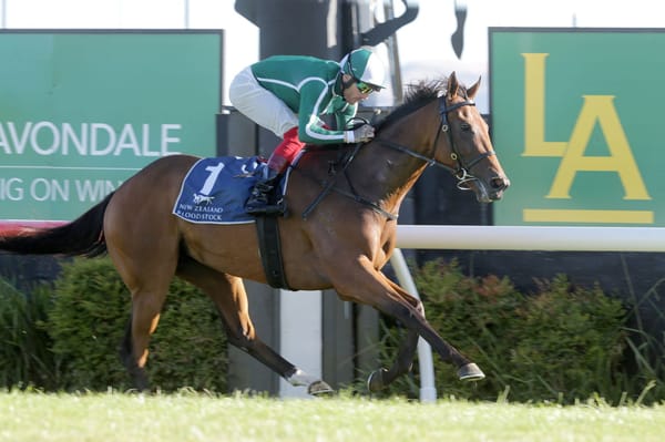 New hoop for Jennifer Eccles