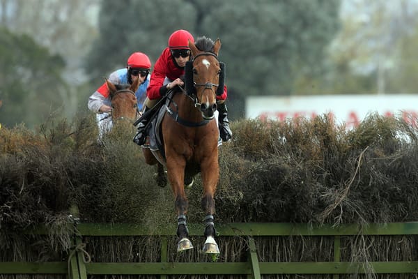 No mystery for Perry in Hawke’s Bay Steeplechase