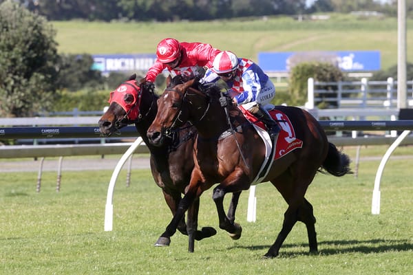 Shoshone out to turn form around at Tauranga