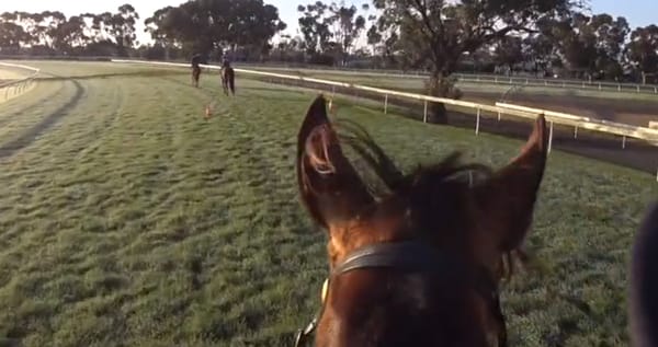 VIDEO: Surprise Baby