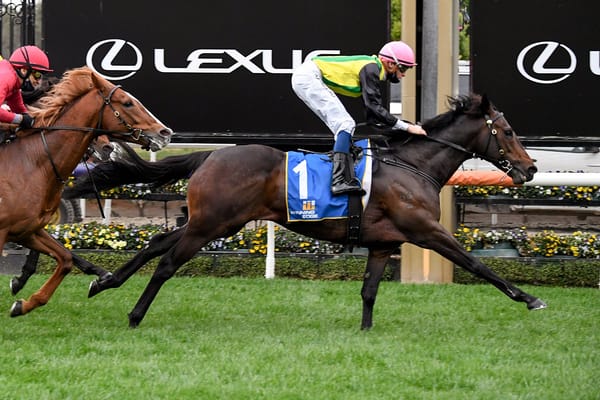 Caulfield Cup 2020: The final field