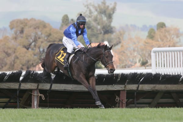 Outsider takes Hurdle feature at Hastings