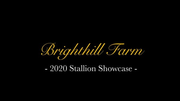 VIDEO: Brighthill Farm