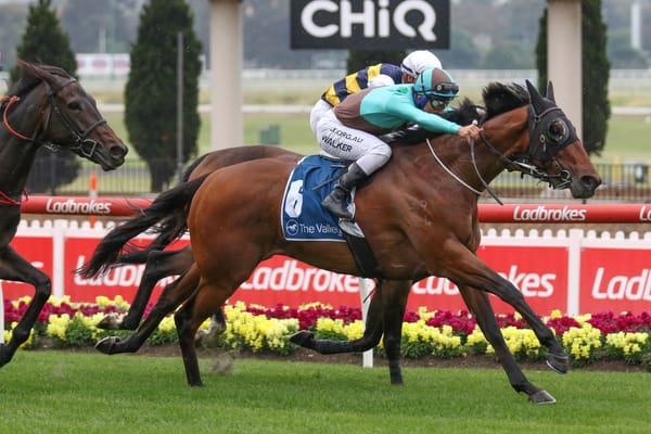 Scott family in search of local Cup boost