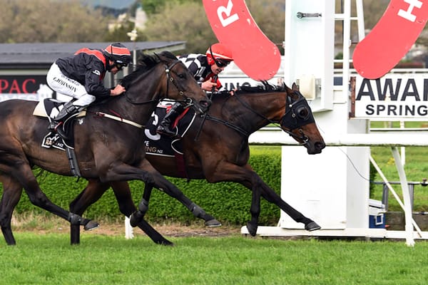 Late Auckland Cup tilt for Mohaka