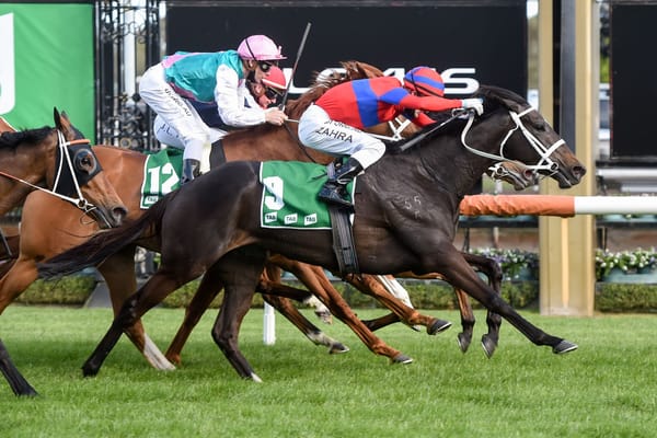 Verry Elleegant too good in Turnbull