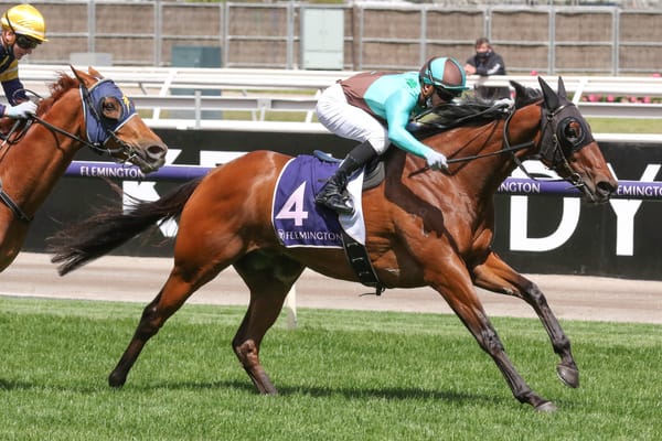 Scott hopes to reignite Irish Flame