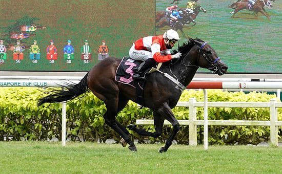 Sure Will Do aiming for hattrick