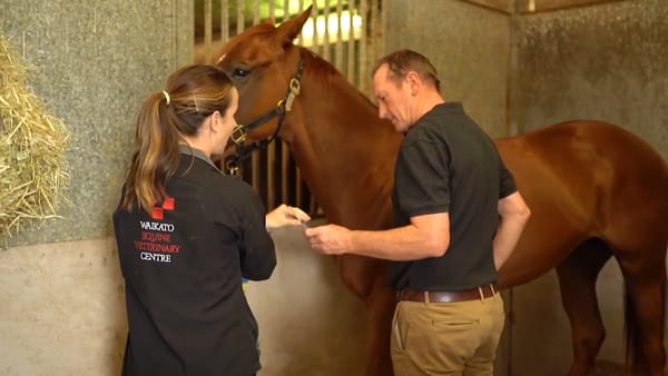 Beyond The Winning Post | Segment 2- Dr Doug Black