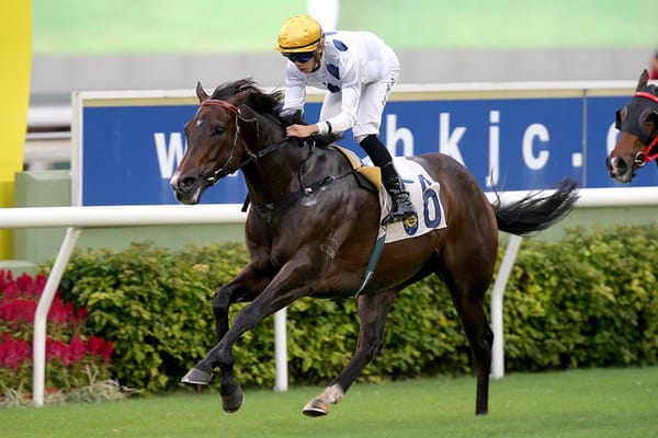 Golden Sixty primed for Stewards’ Cup