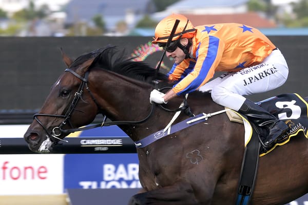 AUDIO: On The Bubbles