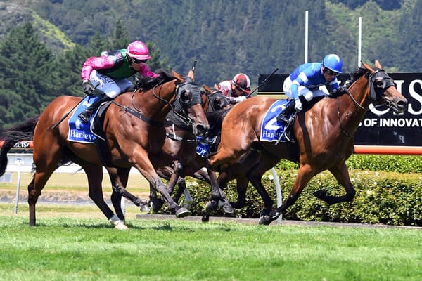 Super result for proud breeder