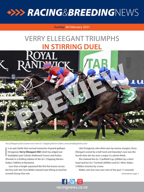 NZ Racing and Breeding News – 28 February 2021
