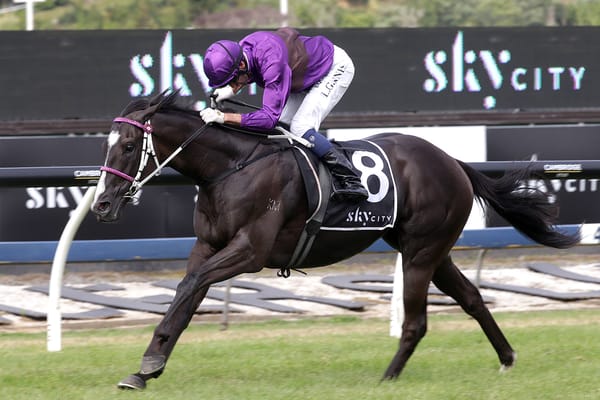 <strong>Invador rehab continues in Waikato Cup</strong>