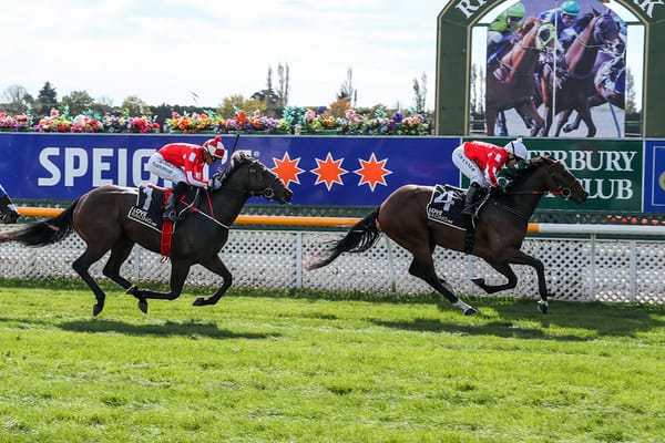 Pitman team hitting its straps ahead of lucrative Easter period