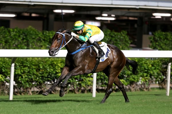 Fownes plots December course via Celebration Cup