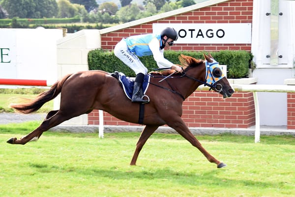 The Gift on trial for Breeders’ Stakes