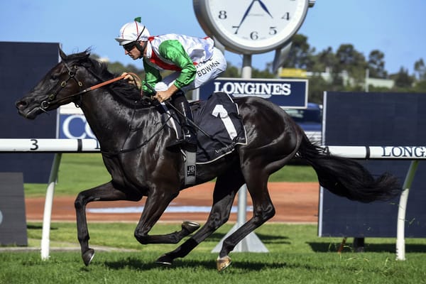 Aegon to target Cox Plate