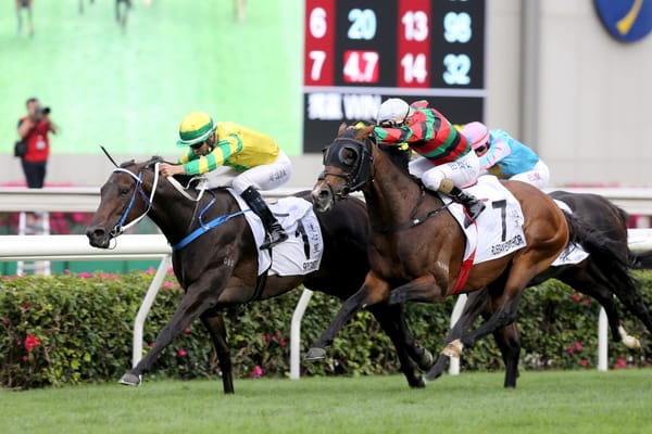 Hong Kong Derby winner Sky Darci poised ahead of G3 Lion Rock Trophy return