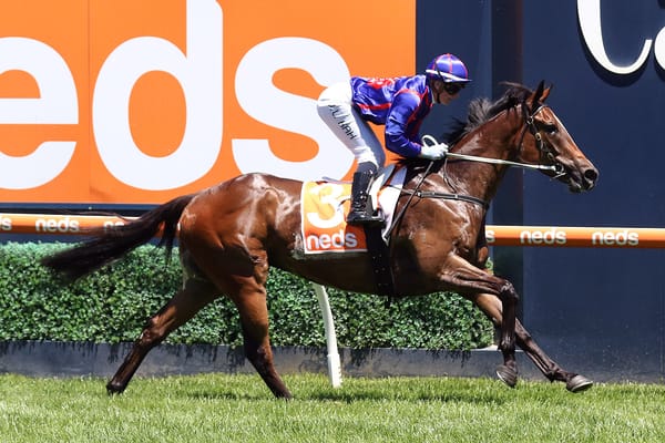 Ayrton loses, out of Stradbroke