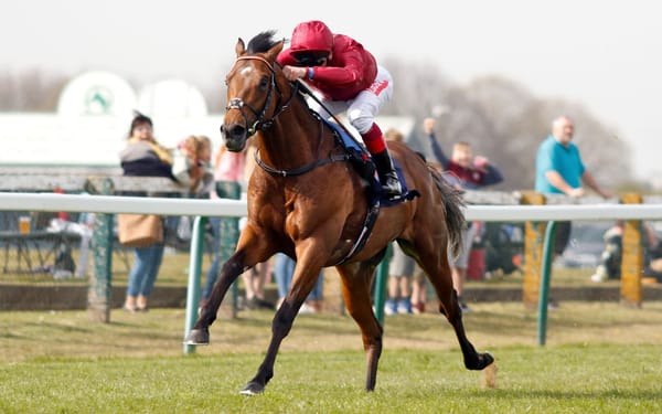 Group One son of Kingman to Novara Park
