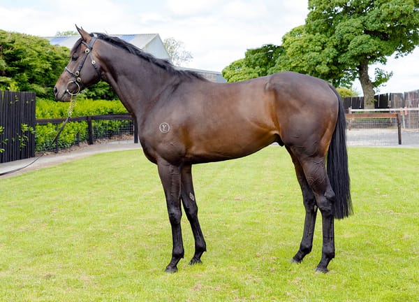 Ancient Spirit to stand at White Robe Lodge