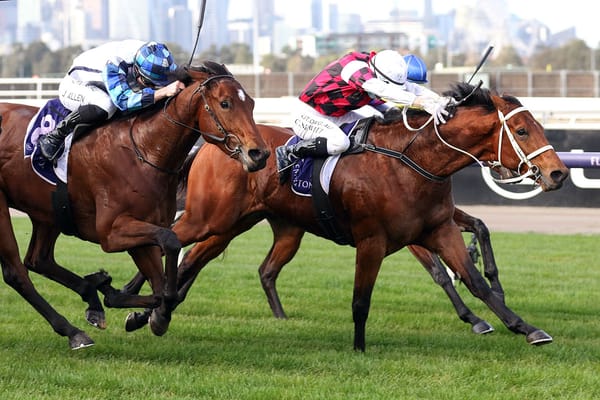 Flemington win marks Savabeel colt as Derby prospect