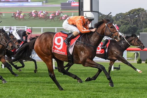 Electric Belle heading to Sandown