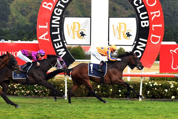 Filly of the Year for sale on Gavelhouse Plus