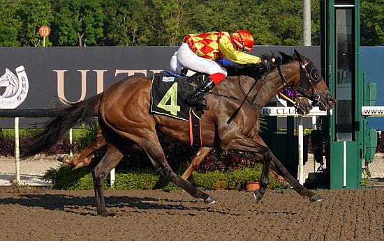 Fitzsimmons hoping better barrier is worth its weight of Gold