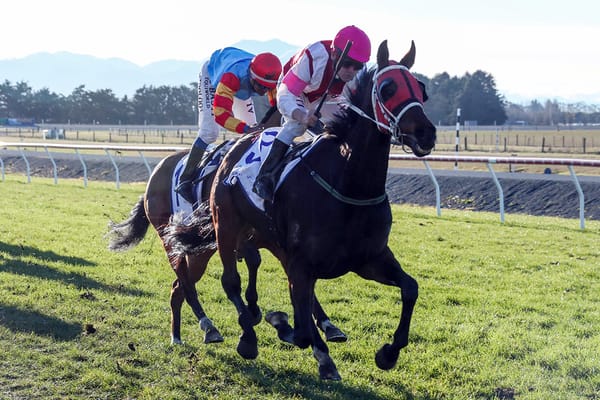 Stewart looking for Waimate Cup threepeat