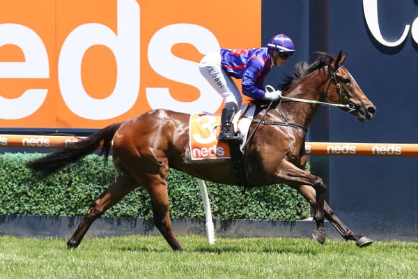 Ayrton times his spring run