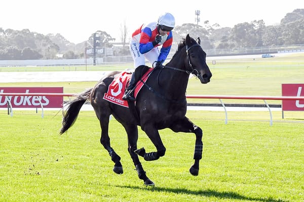 Social Element's dominant Crisp win