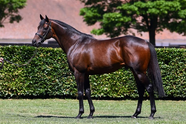 Notable stakes success for Time Test