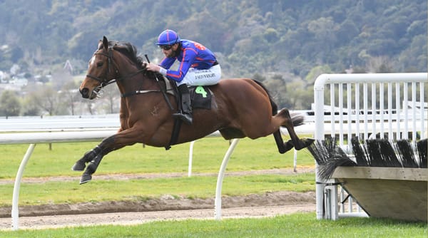 Exciting hurdler English Gambler set to resume