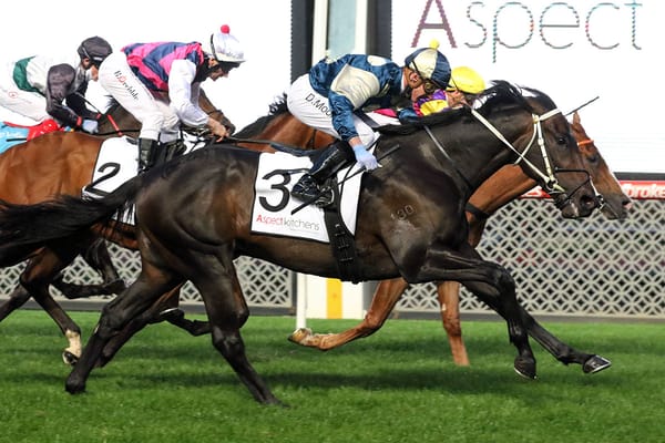 Big spring ahead for Forgot You