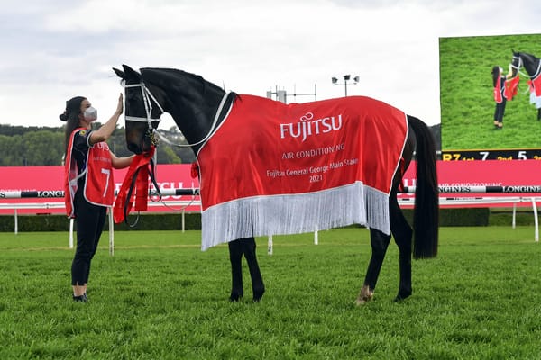 No decision on Elleegant's next step