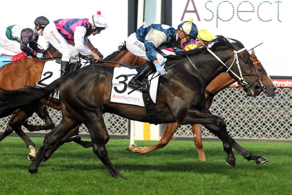 Forgot You to Cox Plate?