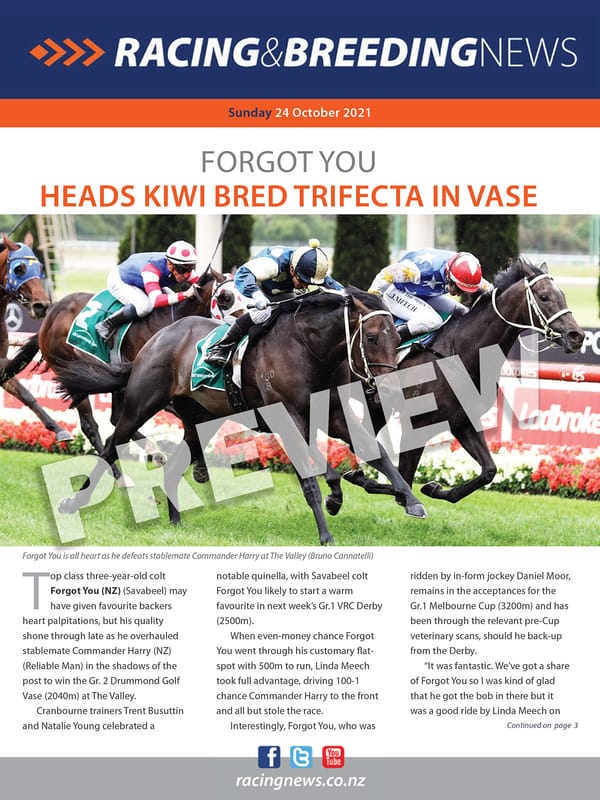 NZ Racing and Breeding News – 24 October 2021