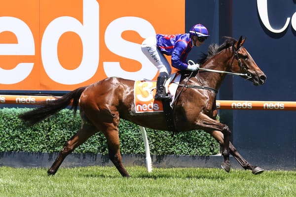 Ayrton nearing a comeback