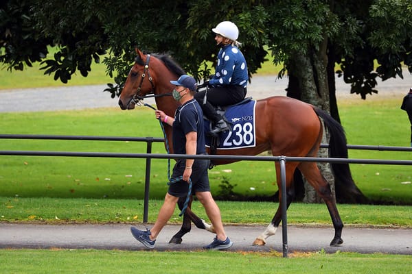 Yiu digs deep for quality colts