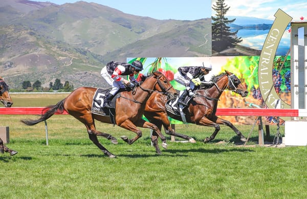 No travel restrictions for Wannabe ‘N’ Paris despite Trentham setback