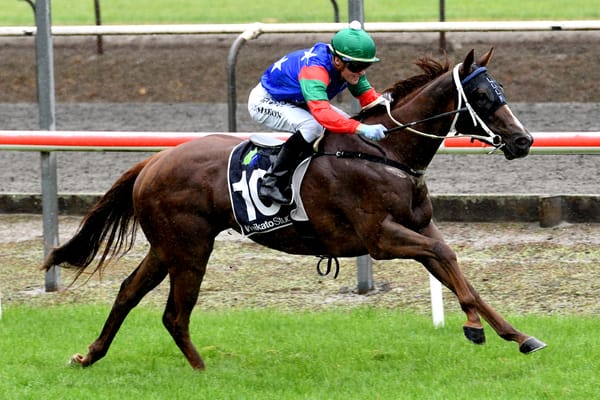 Thorndon dream continues for Lock