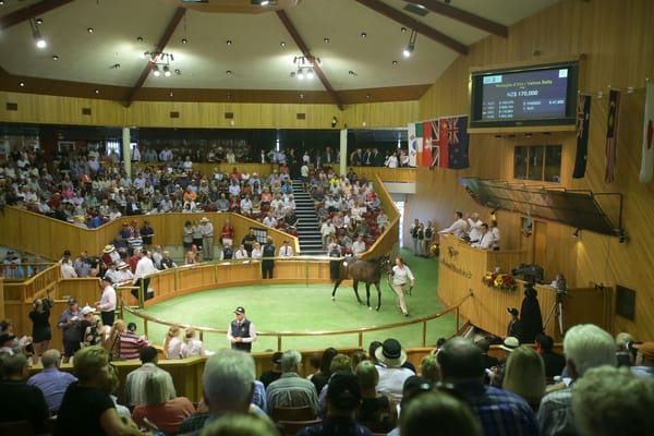NZB 2022 Yearling Sale catalogues online
